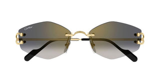 Cartier Ct0620s Unisex Gold Geometric Sunglasses