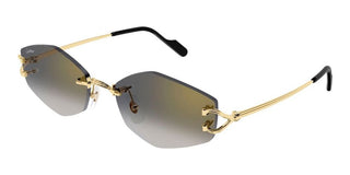 Cartier Ct0620s Unisex Gold Geometric Sunglasses