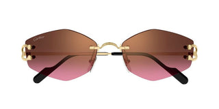 Cartier Ct0620s Unisex Gold Geometric Sunglasses