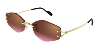 Cartier Ct0620s Unisex Gold Geometric Sunglasses