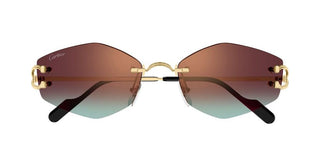 Cartier Ct0620s Unisex Gold Geometric Sunglasses