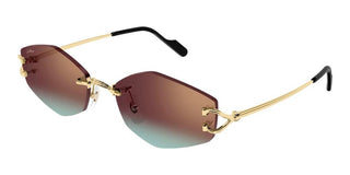 Cartier Ct0620s Unisex Gold Geometric Sunglasses
