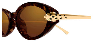 Cartier CT0634S women Havana Round Sunglasses
