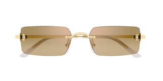 Cartier CT0672S unisex Gold Rectangle Sunglasses
