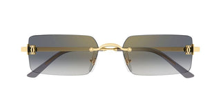 Cartier CT0672S unisex Gold Rectangle Sunglasses