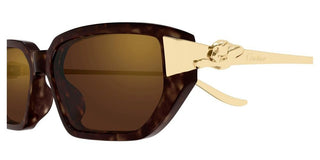 Cartier CT0674S women Havana Cat Eye Sunglasses
