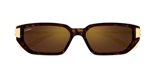 Cartier CT0674S women Havana Cat Eye Sunglasses