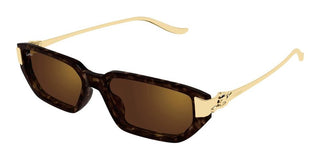 Cartier CT0674S women Havana Cat Eye Sunglasses