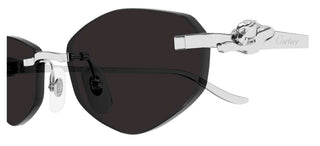 Cartier CT0675S unisex Silver Geometric Sunglasses