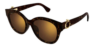 Cartier CT0680SK women Havana Cat Eye Sunglasses