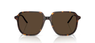 Moncler CYLIN ME6010 unisex Havana Squared Sunglasses