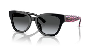 Coach Cl920 Hc 8379u Women Black Squared Sunglasses