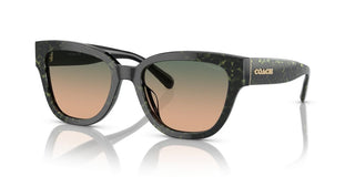 Coach Cl920 Hc 8379u Women Green Squared Sunglasses