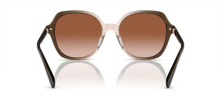 Coach Cl925 Hc 8377u Women Green Round Sunglasses