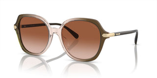 Coach Cl925 Hc 8377u Women Green Round Sunglasses