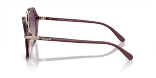 Coach Cl925 Hc 8377u Women Multicolor Round Sunglasses