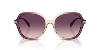 Coach Cl925 Hc 8377u Women Multicolor Round Sunglasses