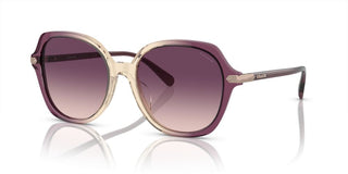 Coach Cl925 Hc 8377u Women Multicolor Round Sunglasses