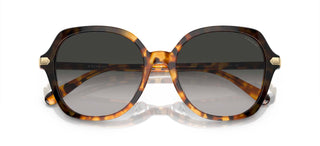 Coach Cl925 Hc 8377u Women Brown Round Sunglasses