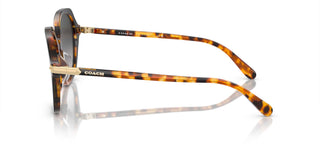 Coach Cl925 Hc 8377u Women Brown Round Sunglasses