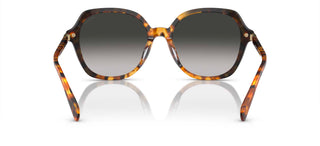 Coach Cl925 Hc 8377u Women Brown Round Sunglasses