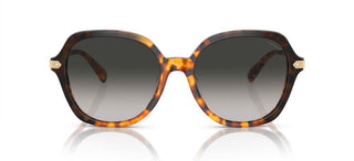 Coach Cl925 Hc 8377u Women Brown Round Sunglasses