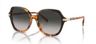 Coach Cl925 Hc 8377u Women Brown Round Sunglasses