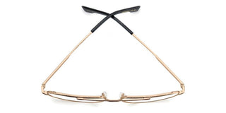 Dsquared2 D2 0176 men Rose gold Pilot Eyeglasses