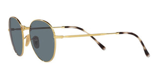 Ray-Ban DAVID RB 3582 unisex Gold Round Sunglasses