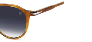 David Beckham Db 1217/s Men Havana Pantos Sunglasses