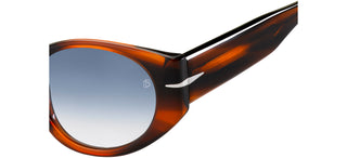 David Beckham DB 7033/S men Brown Round Sunglasses