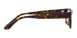 Oliver Peoples DENTON OV 7982 men Havana Squared Eyeglasses