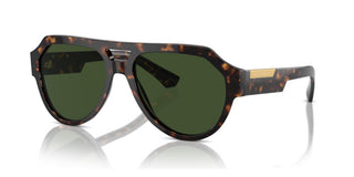 Dolce & Gabbana DG4466 men Havana Pilot Sunglasses