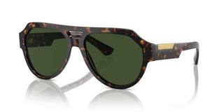 Dolce & Gabbana Dg4466 Men Havana Pilot Sunglasses