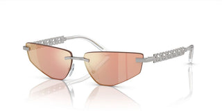 Dolce & Gabbana DG 2301 women Silver Geometric Sunglasses