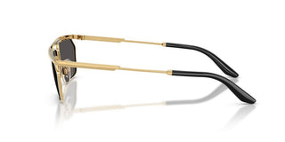 Dolce & Gabbana DG 2327 men Gold Rectangle Sunglasses