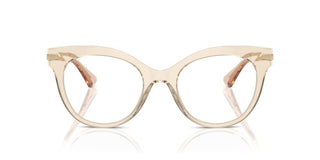 Dolce & Gabbana DG 3392 women Brown Cat Eye Eyeglasses
