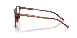 Dolce & Gabbana DG 3425 women Havana Round Eyeglasses