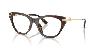 Dolce & Gabbana DG 3428 women Havana Cat Eye Eyeglasses