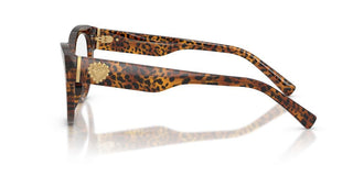 Dolce & Gabbana DG 3440 women Havana Cat Eye Eyeglasses