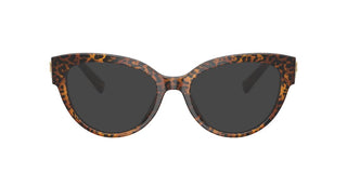 Dolce & Gabbana Dg 3440 Women Havana Cat Eye Eyeglasses