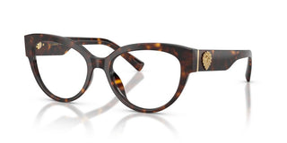 Dolce & Gabbana Dg 3440 Women Havana Cat Eye Eyeglasses