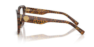 Dolce & Gabbana DG 3441 women Havana Squared Eyeglasses