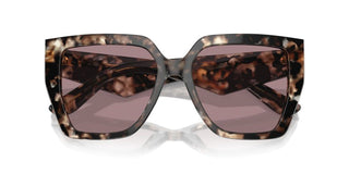 Dolce & Gabbana Dg 4438 Women Havana Butterfly Sunglasses