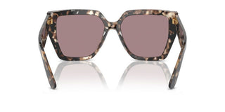 Dolce & Gabbana Dg 4438 Women Havana Butterfly Sunglasses