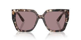 Dolce & Gabbana Dg 4438 Women Havana Butterfly Sunglasses