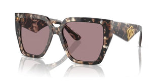 Dolce & Gabbana Dg 4438 Women Havana Butterfly Sunglasses