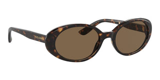 Dolce & Gabbana DG 4443 women Havana Oval Sunglasses