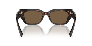 Dolce & Gabbana Dg 4462 Women Havana Rectangle Sunglasses