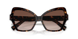 Dolce & Gabbana Dg 4463 Women Havana Butterfly Sunglasses